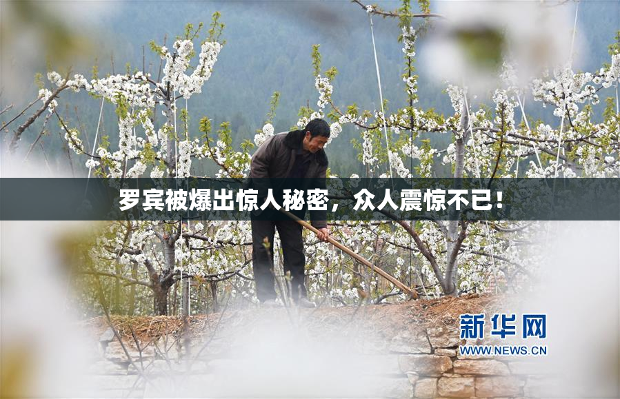 罗宾被爆出惊人秘密，众人震惊不已！