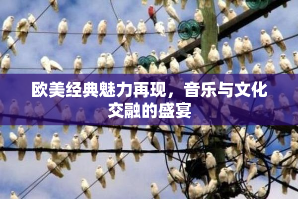 欧美经典魅力再现，音乐与文化交融的盛宴