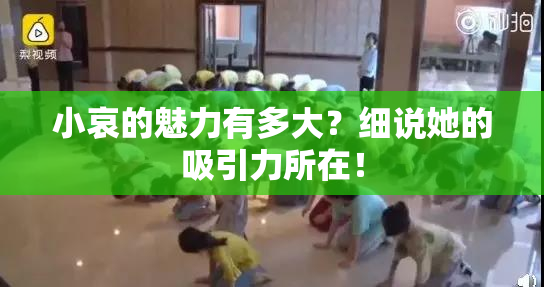 小哀的魅力有多大？细说她的吸引力所在！