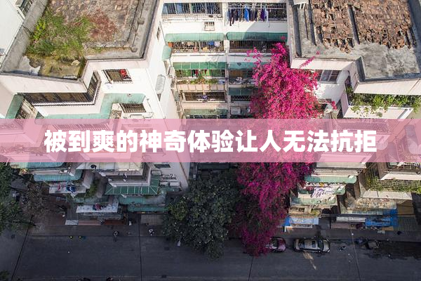 被到爽的神奇体验让人无法抗拒