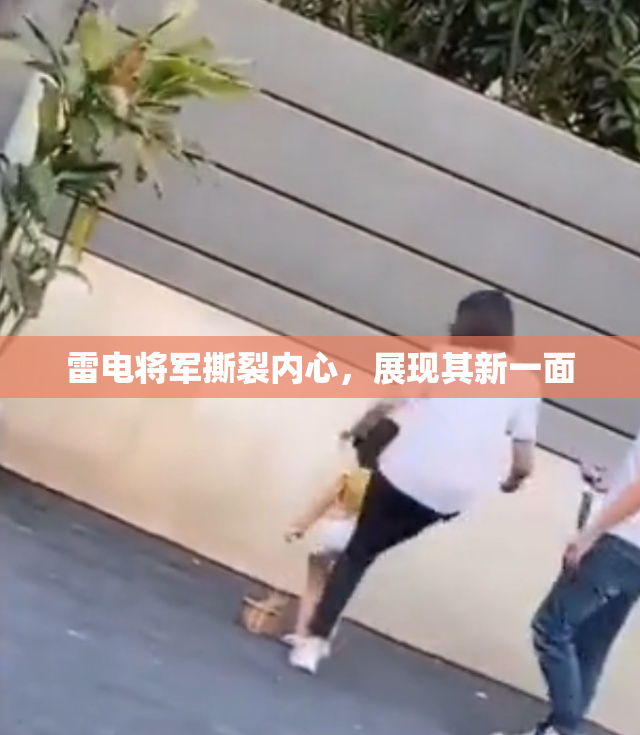 雷电将军撕裂内心，展现其新一面