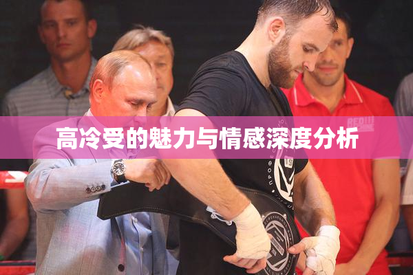 高冷受的魅力与情感深度分析