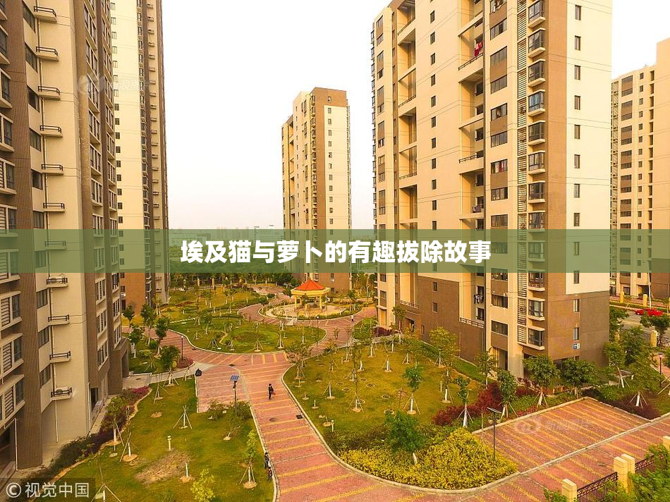 埃及猫与萝卜的有趣拔除故事
