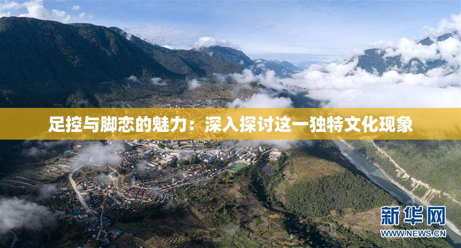 足控与脚恋的魅力：深入探讨这一独特文化现象