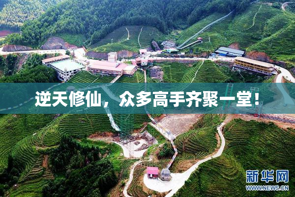 逆天修仙，众多高手齐聚一堂！