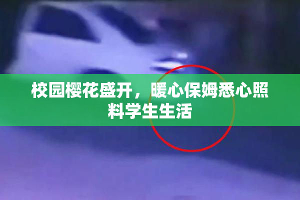 校园樱花盛开，暖心保姆悉心照料学生生活
