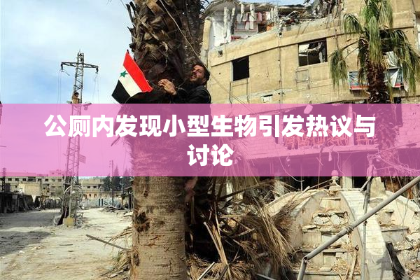 公厕内发现小型生物引发热议与讨论