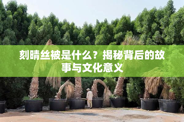 刻晴丝被是什么？揭秘背后的故事与文化意义