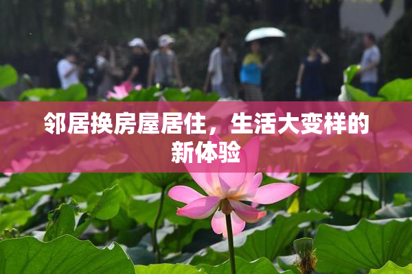 邻居换房屋居住，生活大变样的新体验