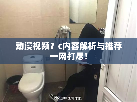 动漫视频？c内容解析与推荐一网打尽！