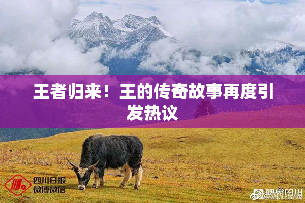 王者归来！王的传奇故事再度引发热议
