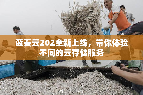 蓝奏云202全新上线，带你体验不同的云存储服务