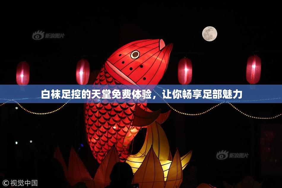 白袜足控的天堂免费体验，让你畅享足部魅力