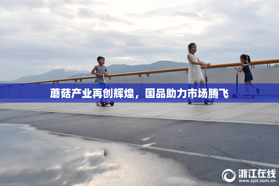 蘑菇产业再创辉煌，国品助力市场腾飞
