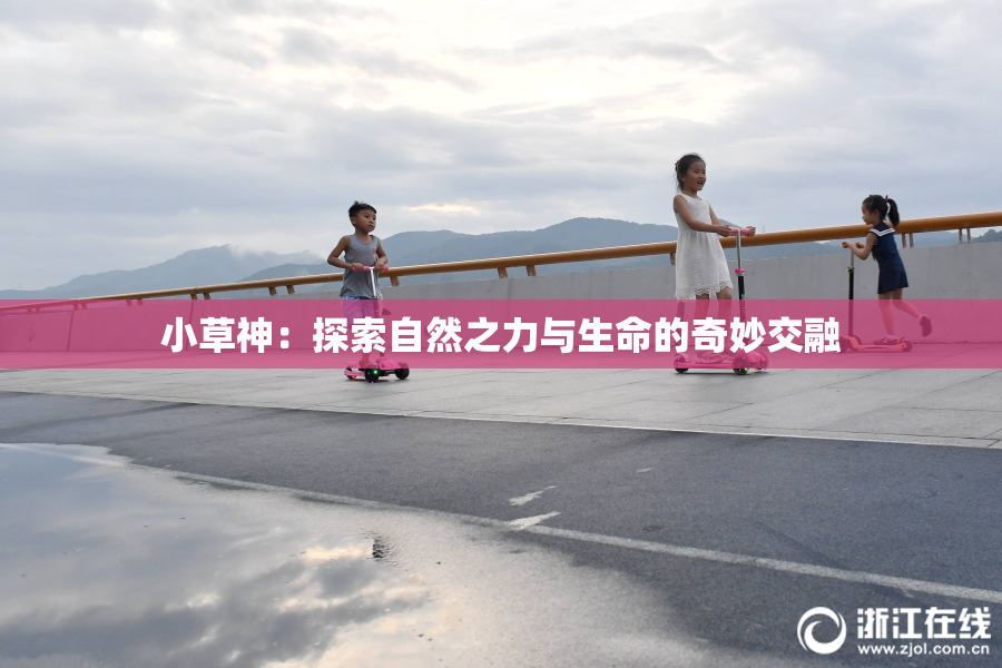 小草神：探索自然之力与生命的奇妙交融