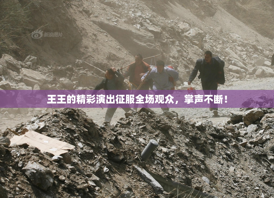 王王的精彩演出征服全场观众，掌声不断！