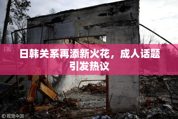 日韩关系再添新火花，成人话题引发热议