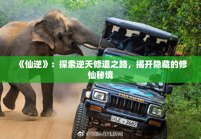 《仙逆》：探索逆天修道之路，揭开隐藏的修仙秘境
