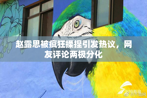赵露思被疯狂揉捏引发热议，网友评论两极分化