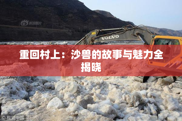 重回村上：沙兽的故事与魅力全揭晓
