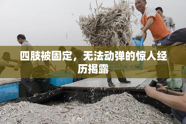 四肢被固定，无法动弹的惊人经历揭露