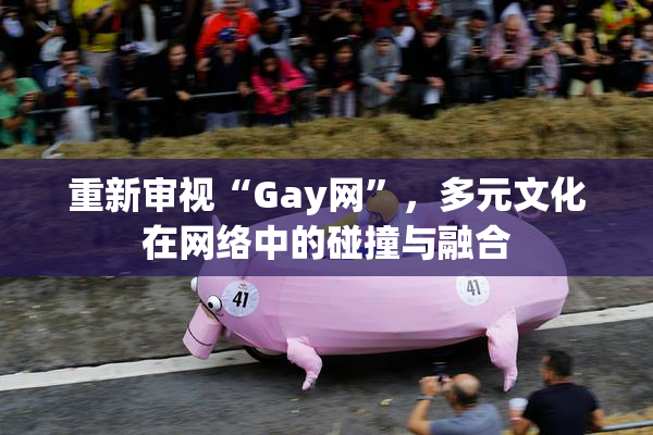 重新审视“Gay网”，多元文化在网络中的碰撞与融合