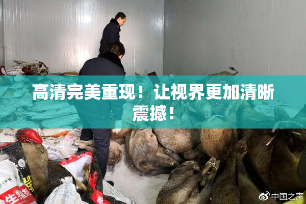 高清完美重现！让视界更加清晰震撼！