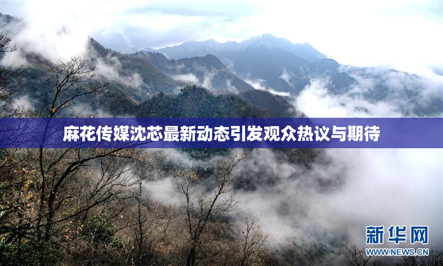 麻花传媒沈芯最新动态引发观众热议与期待