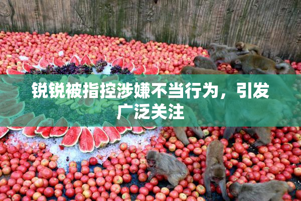 锐锐被指控涉嫌不当行为，引发广泛关注