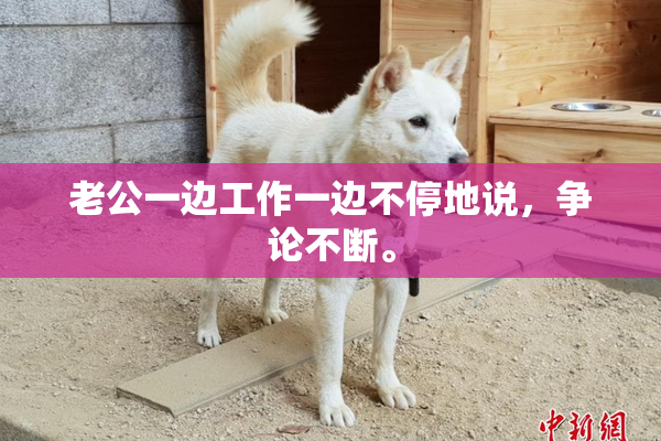老公一边工作一边不停地说，争论不断。