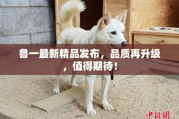 鲁一最新精品发布，品质再升级，值得期待！