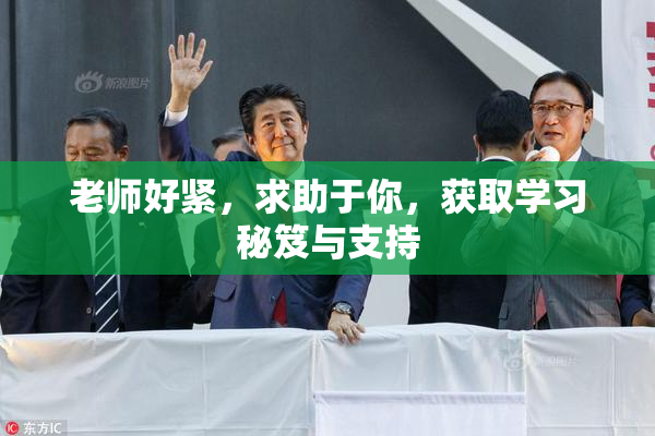 老师好紧，求助于你，获取学习秘笈与支持