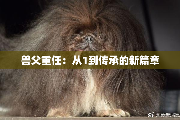 兽父重任：从1到传承的新篇章