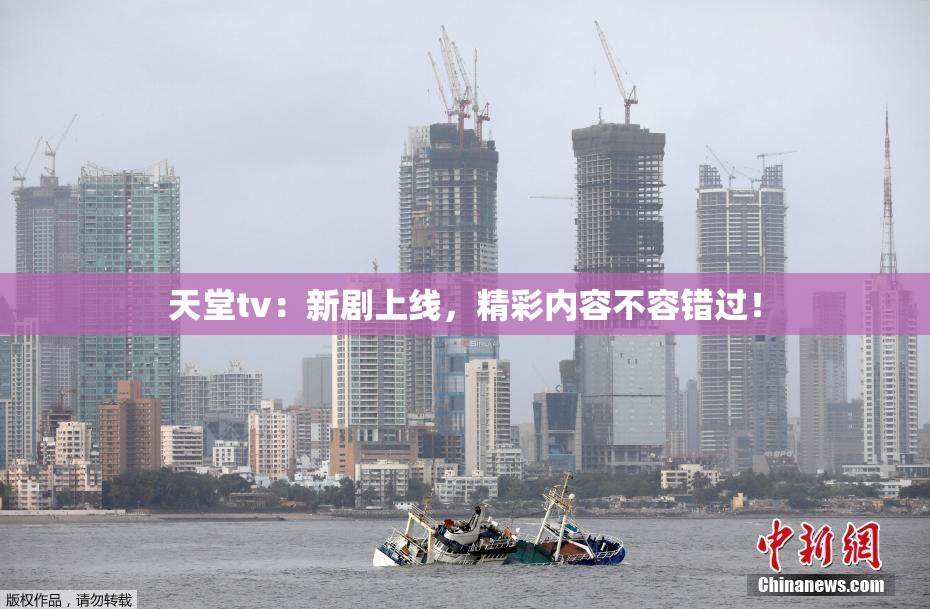 天堂tv：新剧上线，精彩内容不容错过！