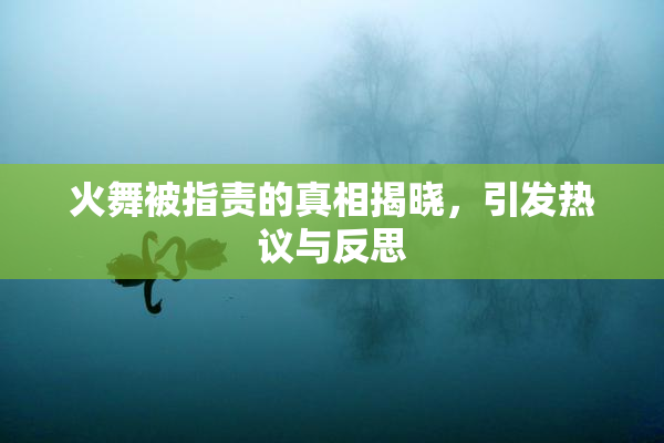 火舞被指责的真相揭晓，引发热议与反思