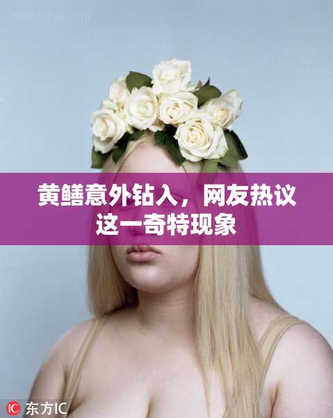 黄鳝意外钻入，网友热议这一奇特现象