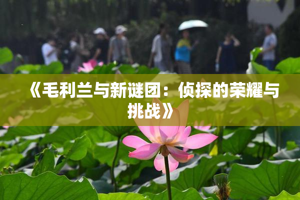 《毛利兰与新谜团：侦探的荣耀与挑战》