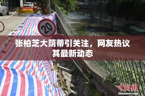 张柏芝大荫蒂引关注，网友热议其最新动态