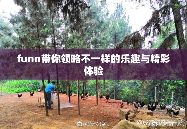 funn带你领略不一样的乐趣与精彩体验