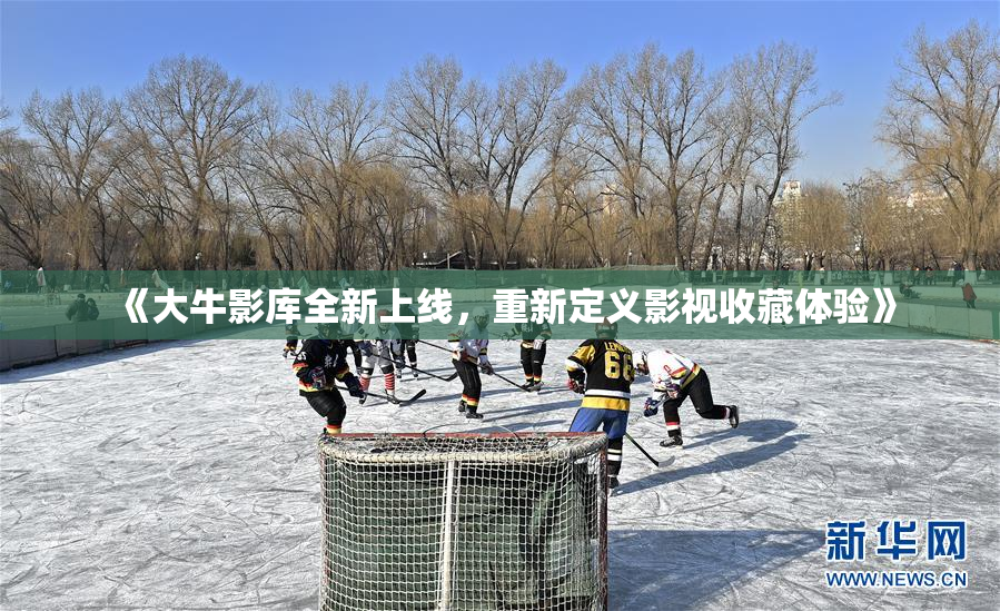 《大牛影库全新上线，重新定义影视收藏体验》