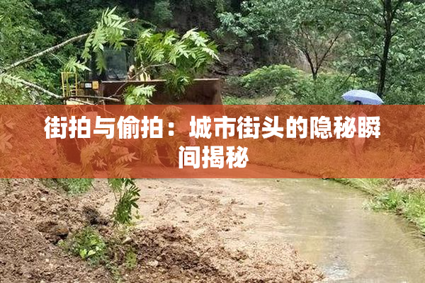 街拍与偷拍：城市街头的隐秘瞬间揭秘