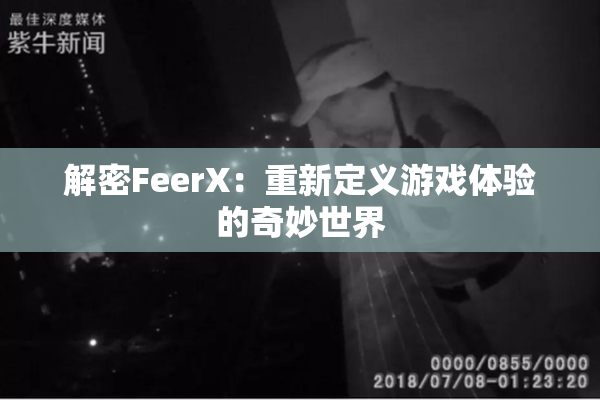解密FeerX：重新定义游戏体验的奇妙世界
