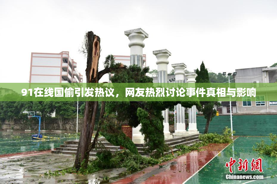 91在线国偷引发热议，网友热烈讨论事件真相与影响
