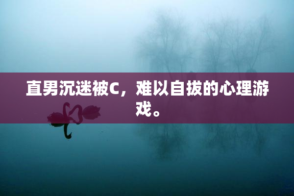 直男沉迷被C，难以自拔的心理游戏。