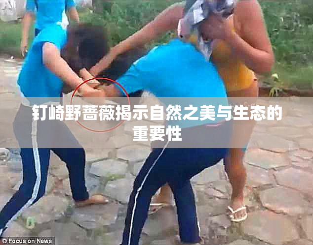 钉崎野蔷薇揭示自然之美与生态的重要性