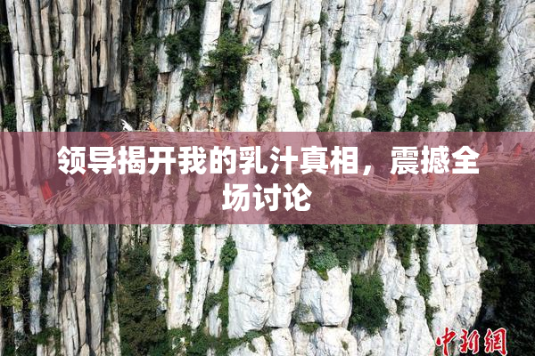 领导揭开我的乳汁真相，震撼全场讨论