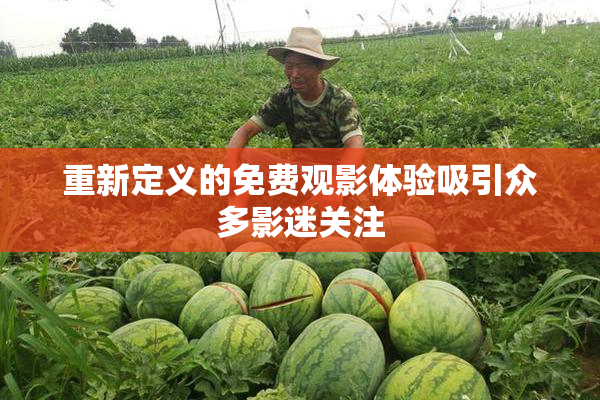 重新定义的免费观影体验吸引众多影迷关注