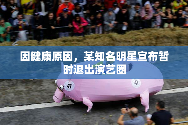 因健康原因，某知名明星宣布暂时退出演艺圈