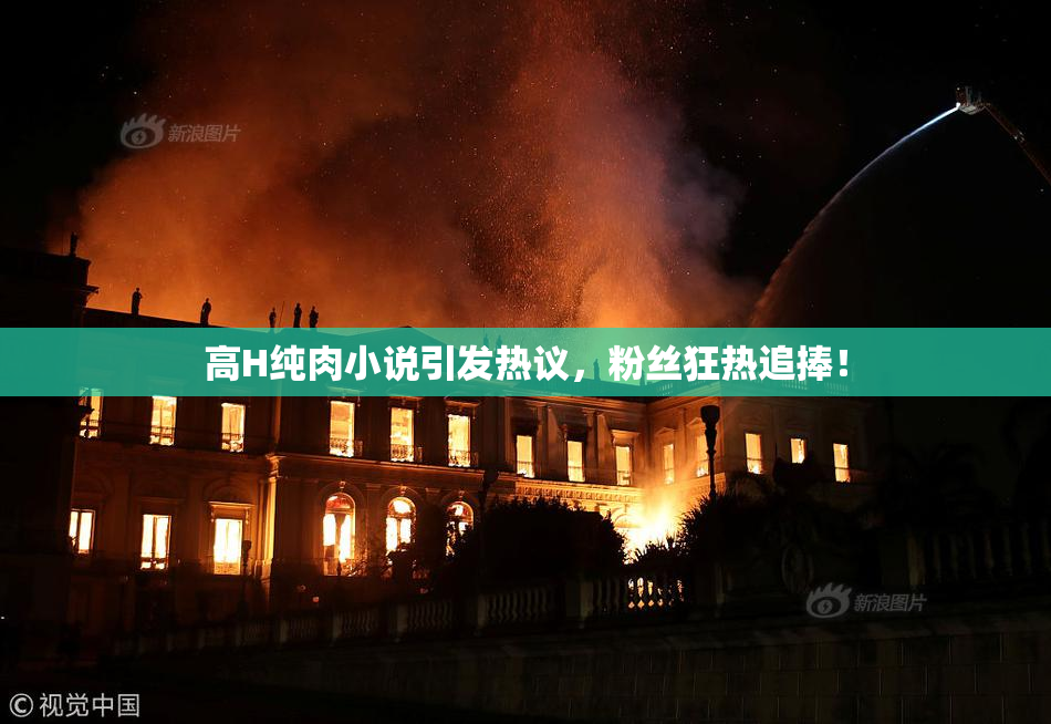 高H纯肉小说引发热议，粉丝狂热追捧！