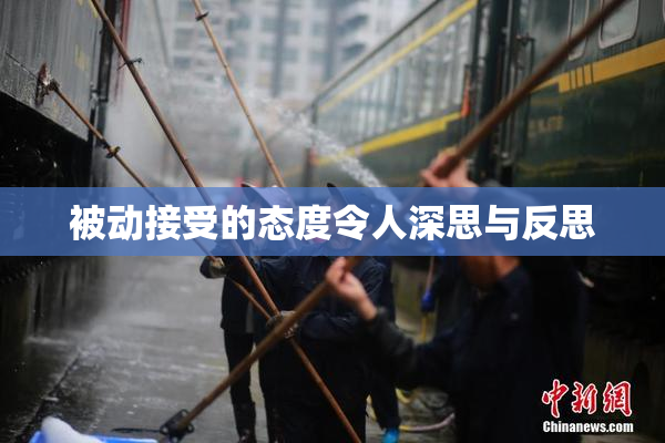 被动接受的态度令人深思与反思